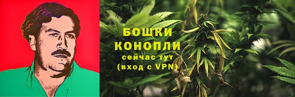 стаф Россошь
