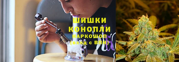 ГАЛЛЮЦИНОГЕННЫЕ ГРИБЫ Рославль