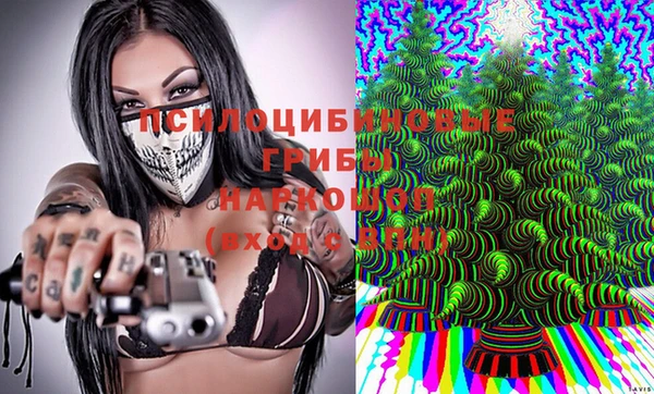 PSILOCYBIN Зерноград