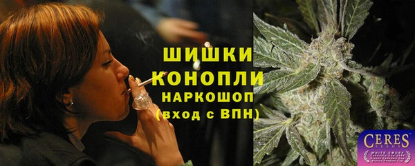 стаф Россошь