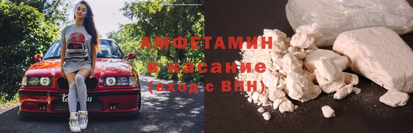 стаф Россошь