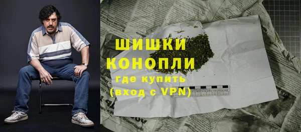 стаф Россошь