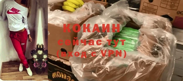 ГАЛЛЮЦИНОГЕННЫЕ ГРИБЫ Рославль