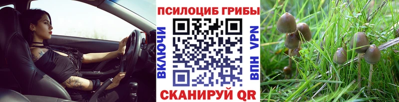 Псилоцибиновые грибы мухоморы  где найти   блэк спрут вход  Камень-на-Оби 