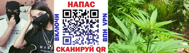 Каннабис SATIVA & INDICA Камень-на-Оби